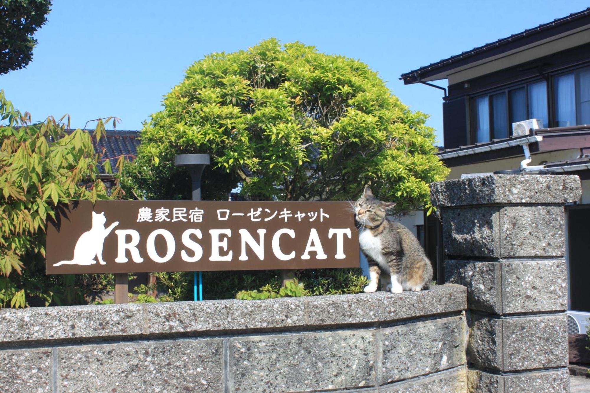 Rosencat Villa Sado Exterior foto